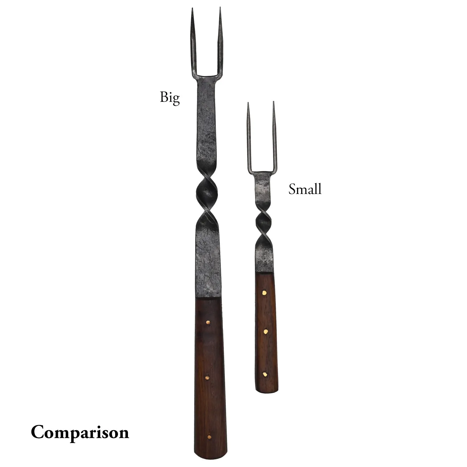 Anselm fork big