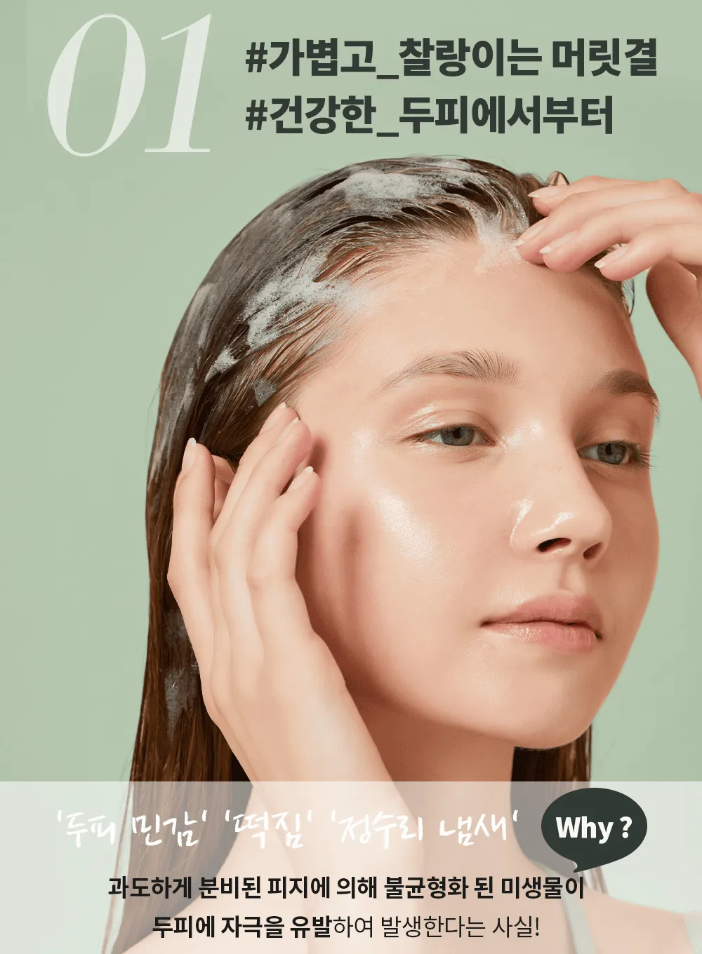 Silky Glow Shampoo (400ml)