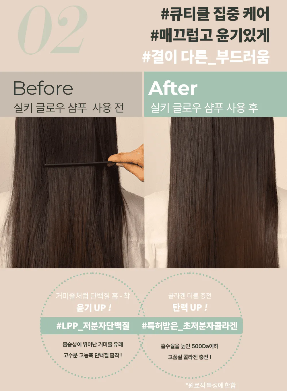 Silky Glow Shampoo (400ml)
